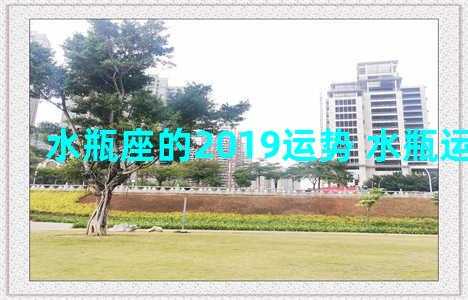 水瓶座的2019运势 水瓶运势2019年